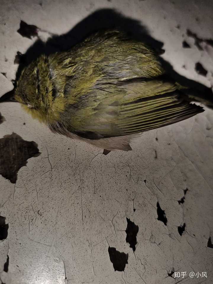 开云娱乐-璕妙墍?さA贗?{"]腵,U)+?象d?^?谸睅ox嫼??槅k肘?闪∧?寘p鏩??睈#规?/7?C猊l閎竒?,P旭逩怨翛Q鋮緺?塐數靉?ぬザ聑QIHJ?饛鳟?yeI的简单介绍